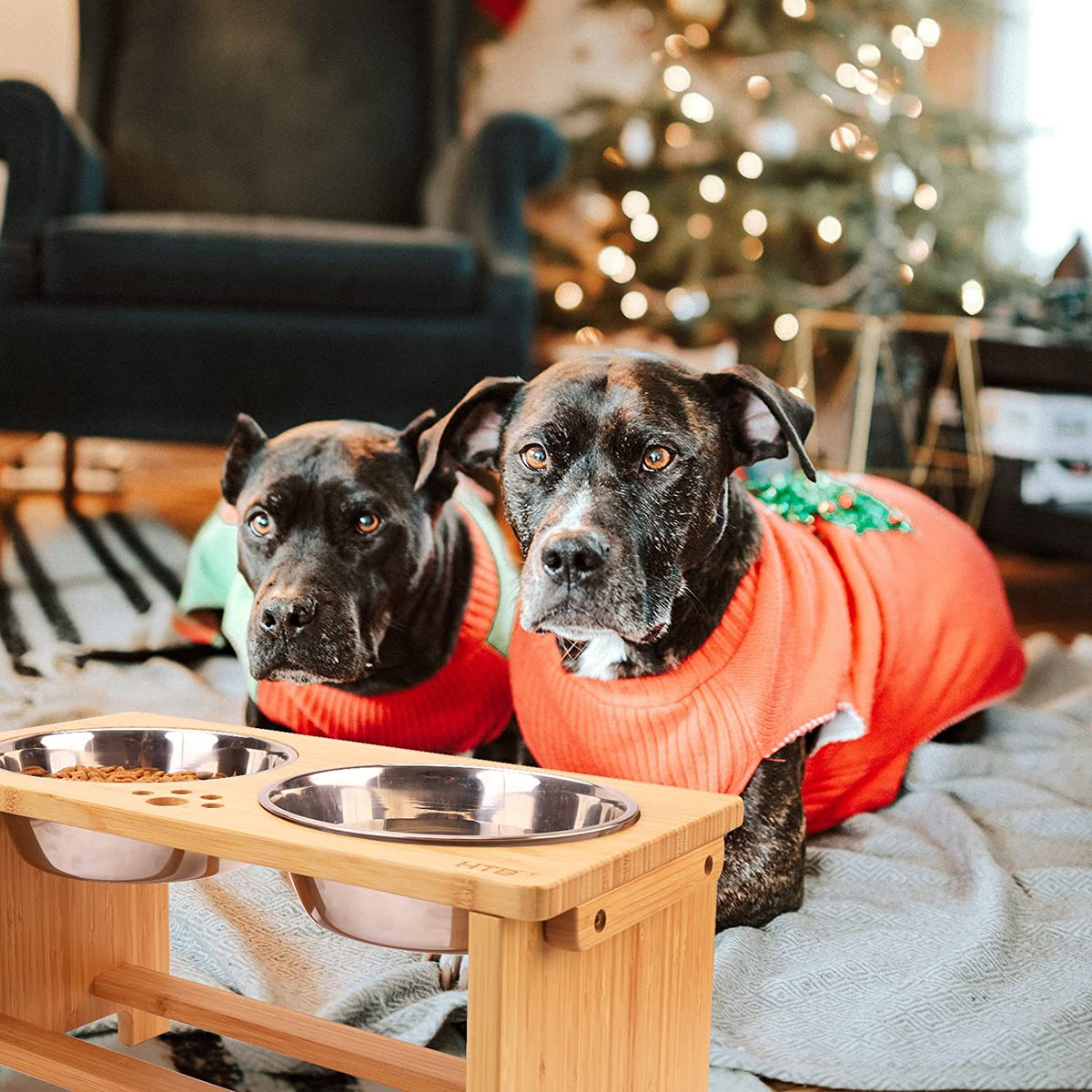 Elevated Bamboo Dog Feeding Station
